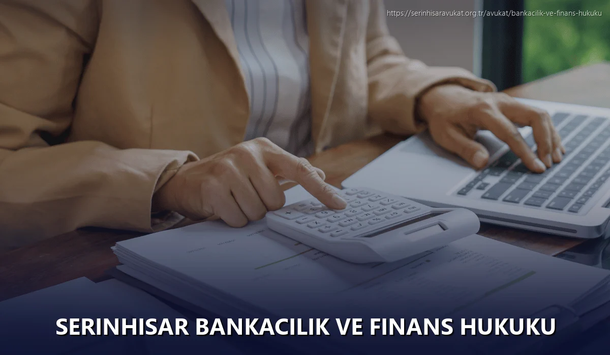 Serinhisar Bankacılık ve Finans Hukuku